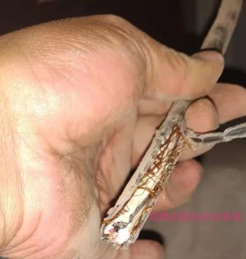 图片关键词 图片关键词